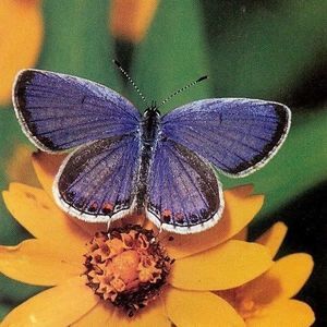 Meet your Posher, Lynda